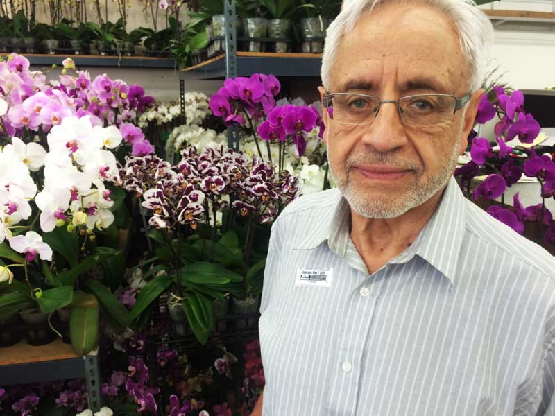 626-Papa-with-orchids