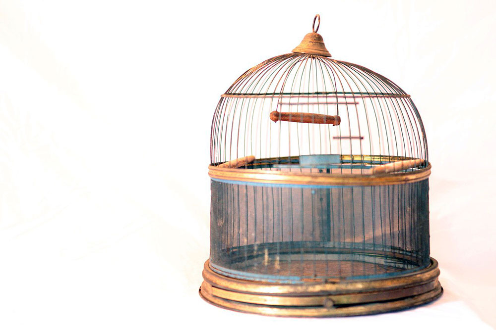 Hendryx-Bird-Cage2