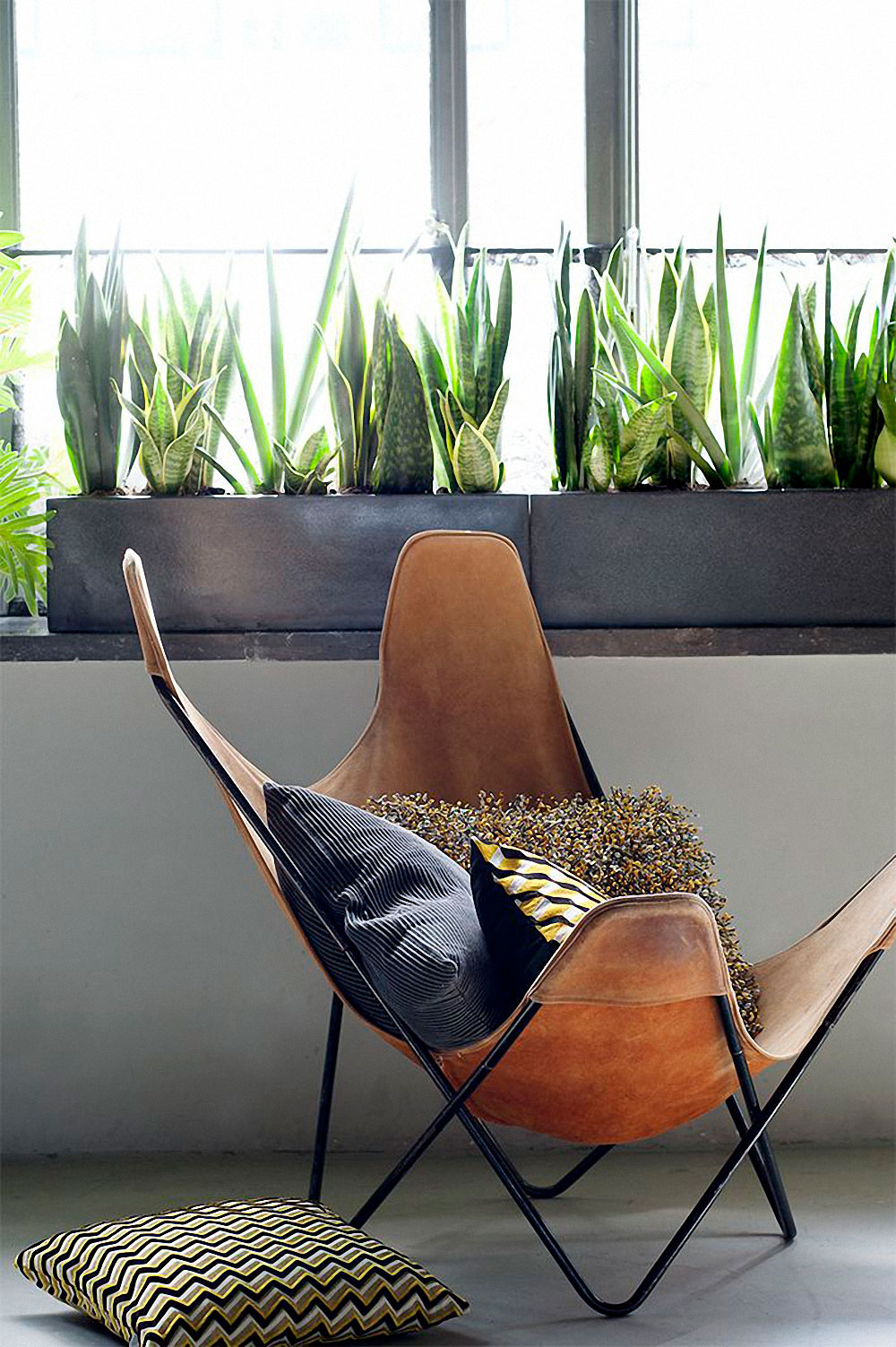 What I See A Lot On Pinterest Butterfly Chairs Jest Cafe