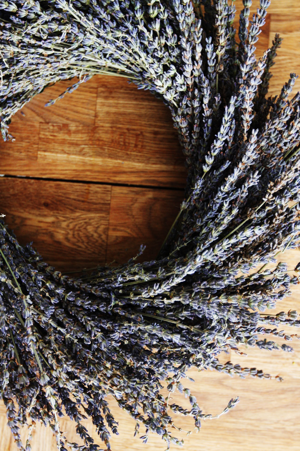 jestcafe.com-lavender-wreath1