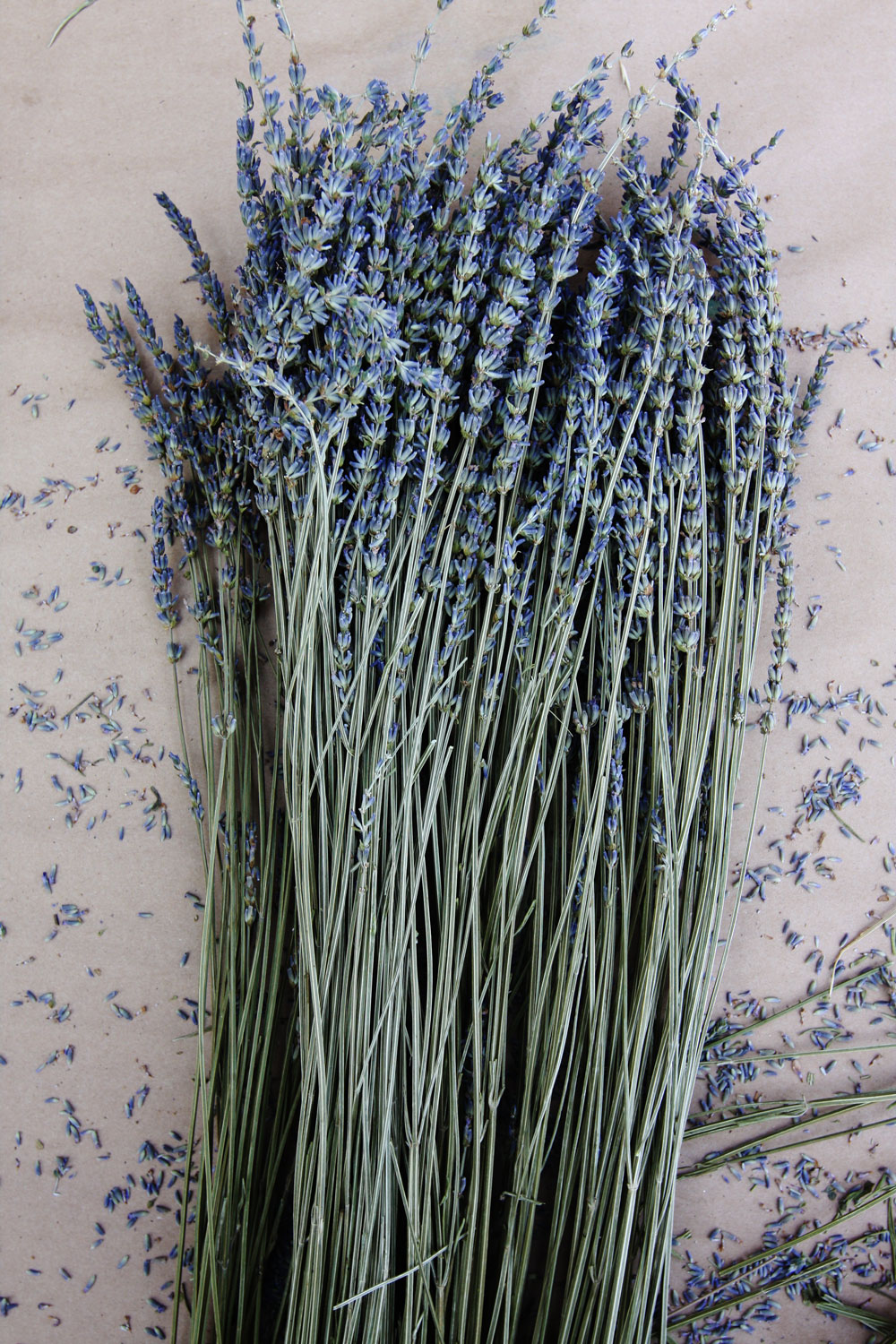 jestcafe.com-lavender-wreath12