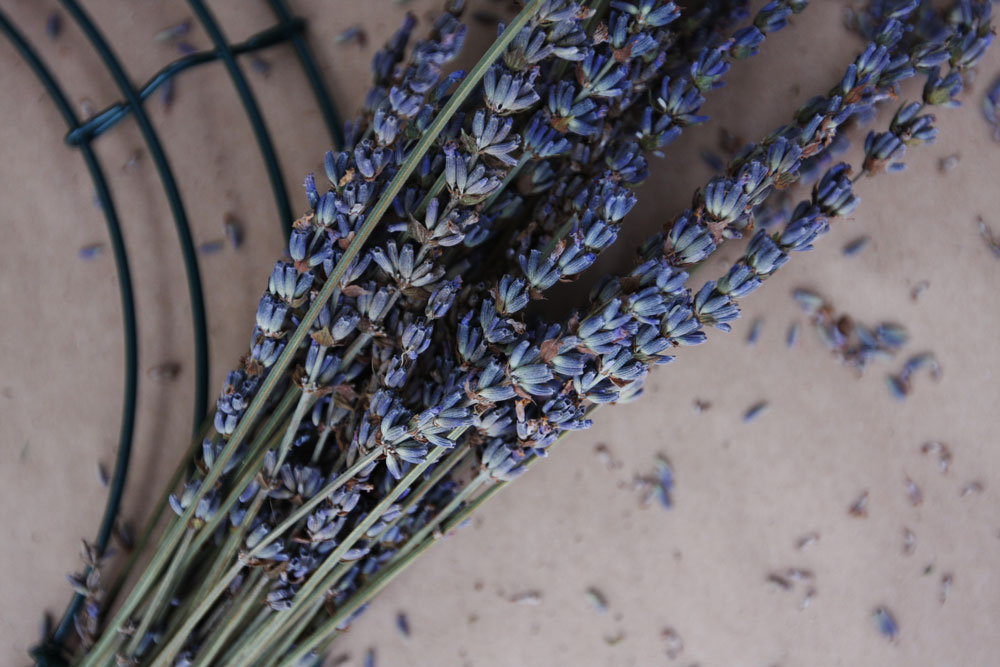 jestcafe.com-lavender-wreath15