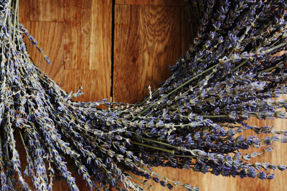 jestcafe.com-lavender-wreath3