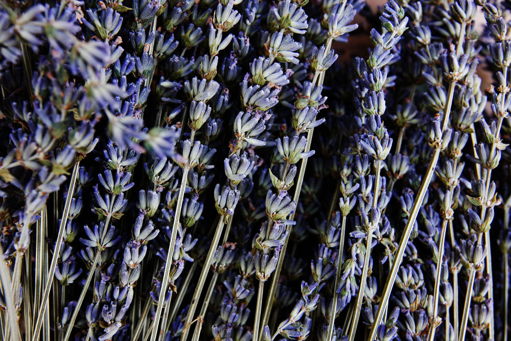 jestcafe.com-lavender-wreath7