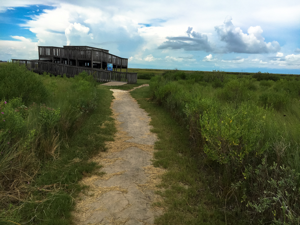 galveston