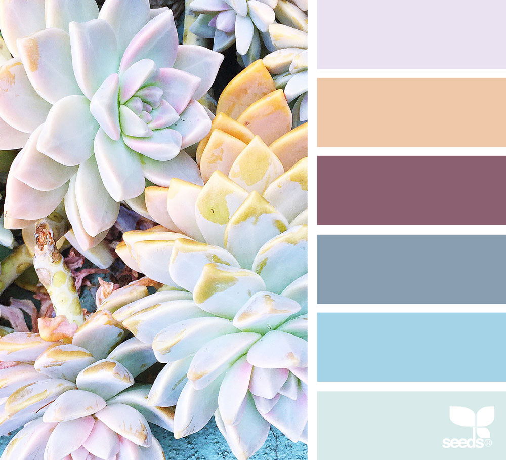 Bold Decision  Color palette challenge, Retro color palette