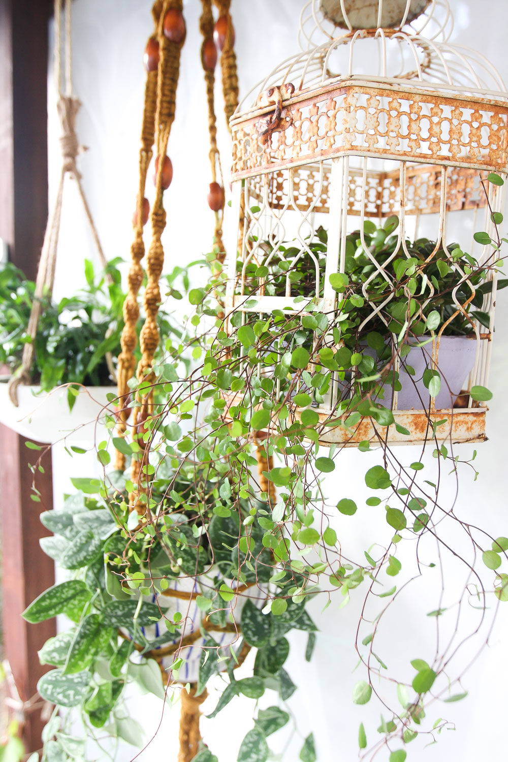 5 Creative (And Easy) Ways Of Decorating Your Home With Plants