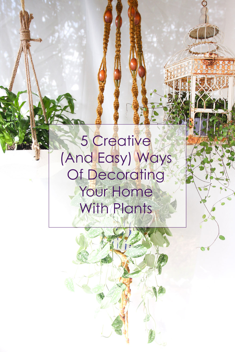  5 Creative (And Easy) Ways Of Decorating Your Home With Plants