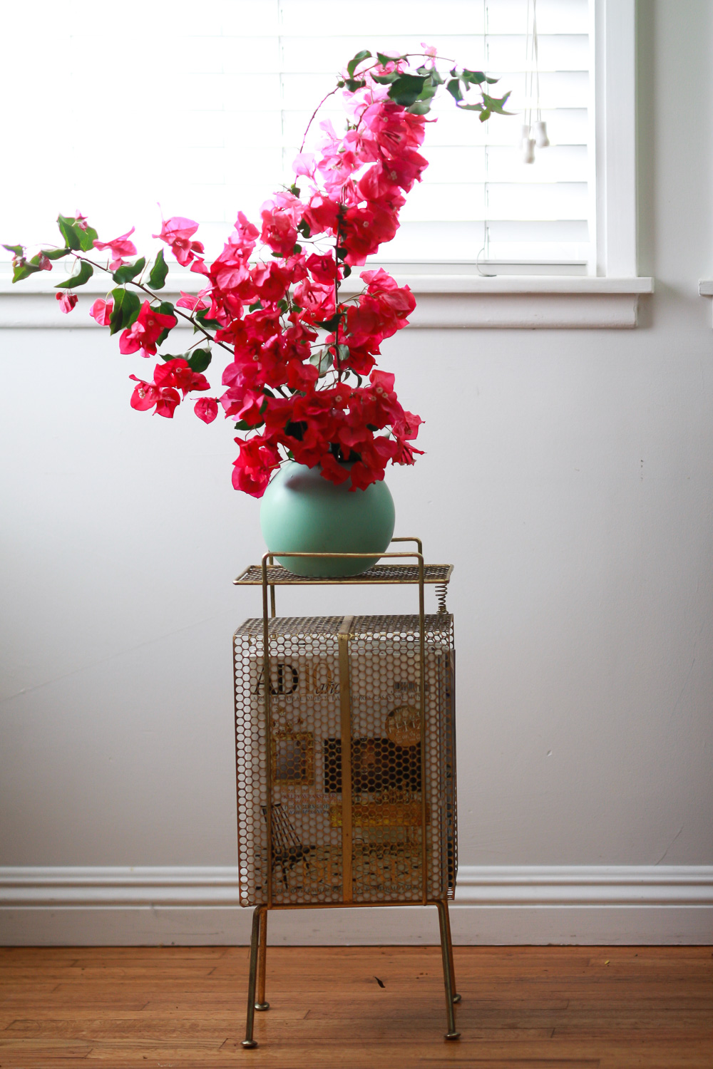 bougainvillea