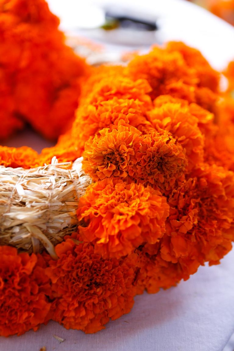 Marigold Wreath DIY (and Garland) - Perfect for Fall - Jest Cafe