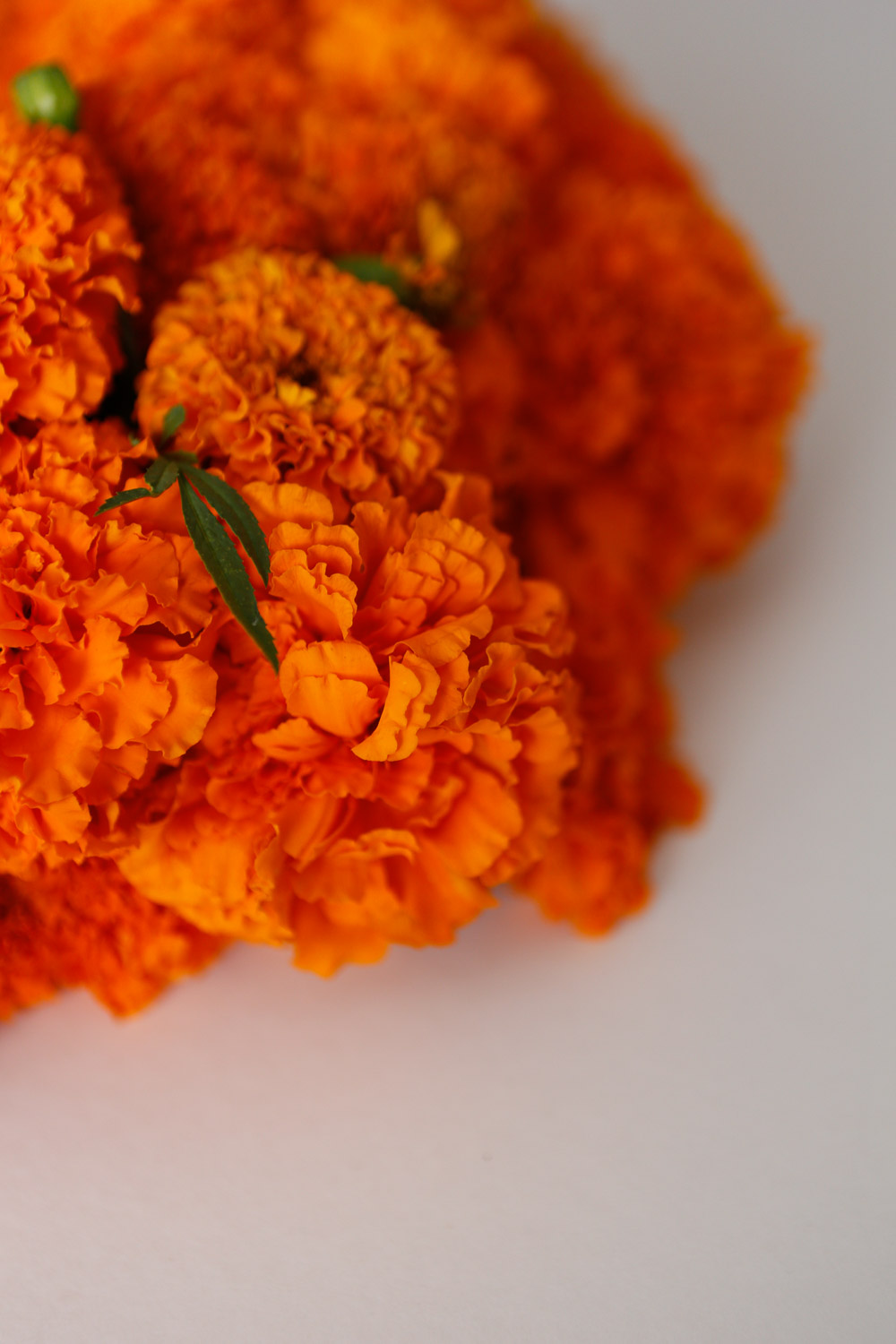 marigold wreath details