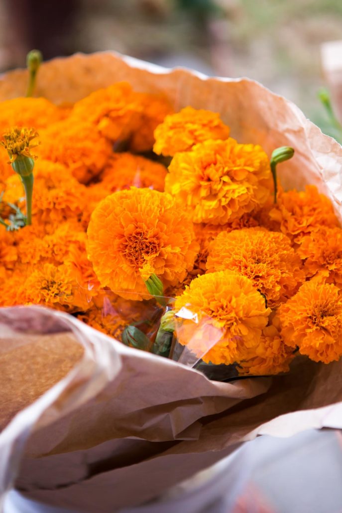 Marigold Wreath DIY (and Garland) Perfect for Fall Jest Cafe